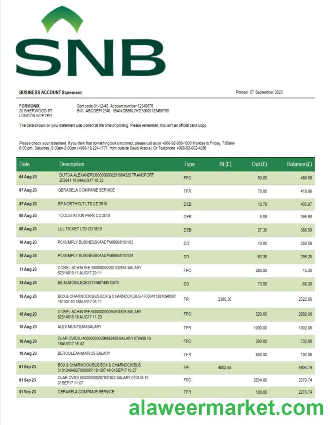 SNB Bank enterprise statement Word and PDF template